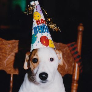 Meet your Posher, Bonnie